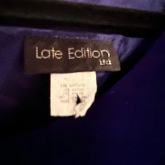 Vintage Royal Blue Velvet Dress by Late Edition Limited Size Medium - Picture 3 of 5